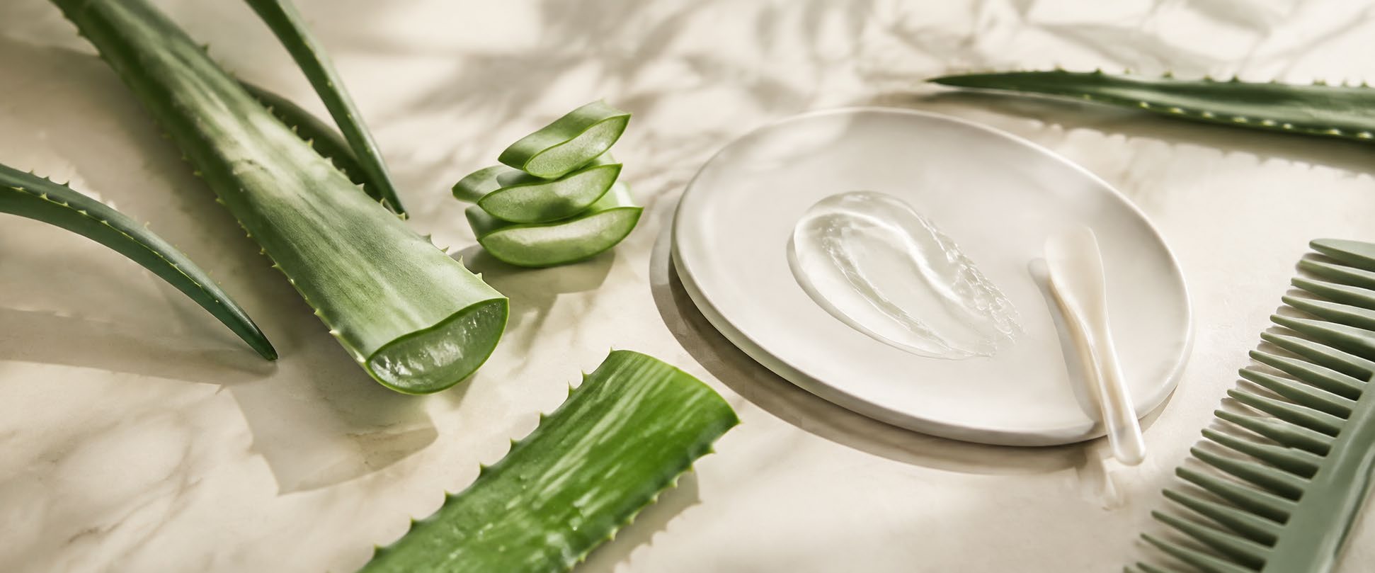 Feuilles d’aloe vera coupées et gel appliqué sur une assiette avec un peigne, illustrant son utilisation sur la peau et les cheveux