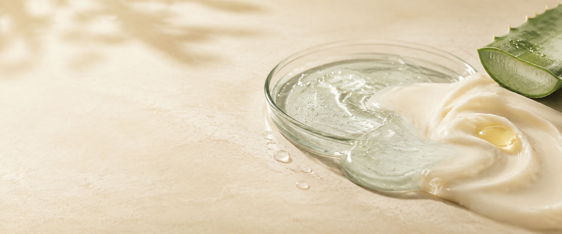 Texture de gel et de crème hydratante avec une feuille d’aloe vera